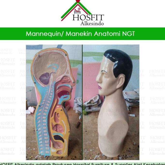 Manekin Ngt Silicon + Fiber | Phantom Manikin Peraga Lokal