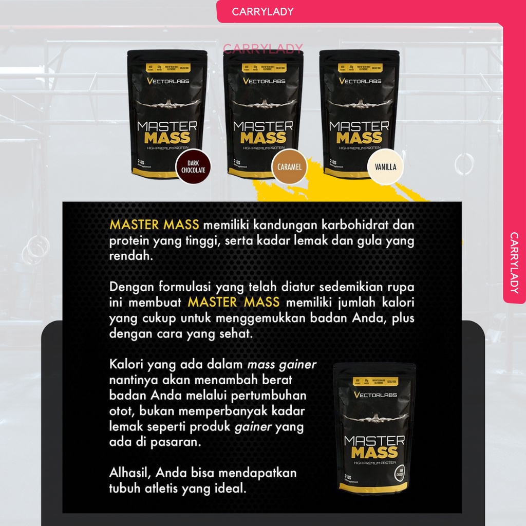 VECTORLABS GAINER VL MASTERMASS MASTER MASS 2LB 2 LB 2LBS 2 LBS 900 GRAM VECTOR LABS SUSU FITNESS WEIGHT GAINER MURAH BPOM HALAL GYM
