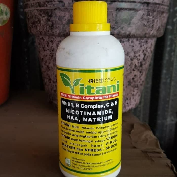 B1 VITANI (NATURAL JAPAN) 500ML VITANI 500 ML VITAMIN B1 TANAMAN