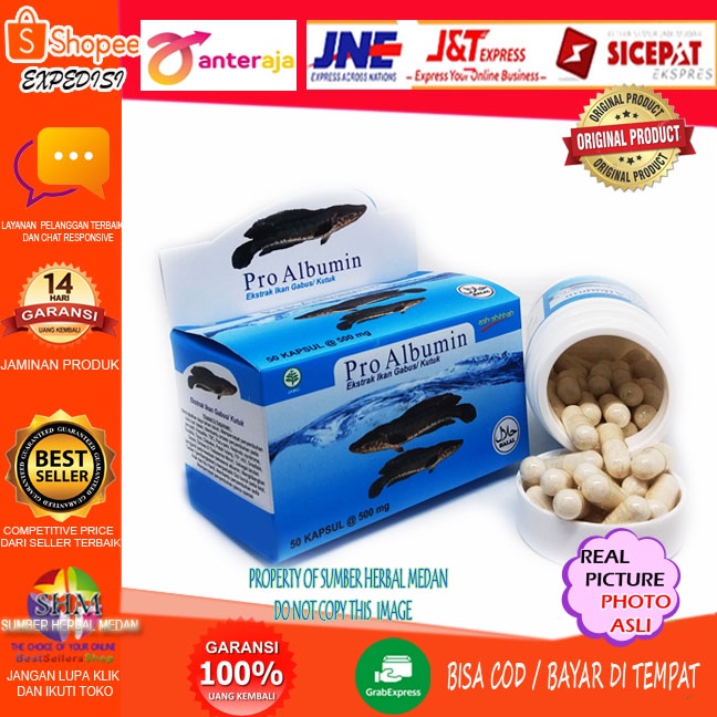 PRO ALBUMIN Kapsul Ekstrak Ikan Gabus - Kutuk Ash Shihah OriGINAL