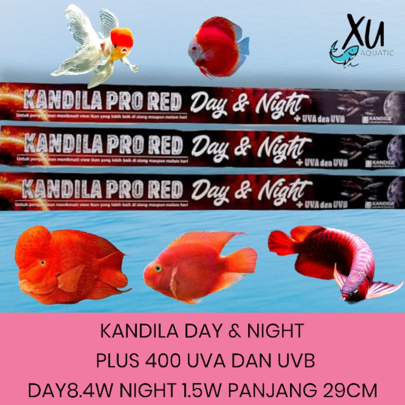 KANDILA PRO RED DAY AND NIGHT 400 UV A UV B PLUS LAMPU T8 KANDILA PRO DAY AND NIGHT 400