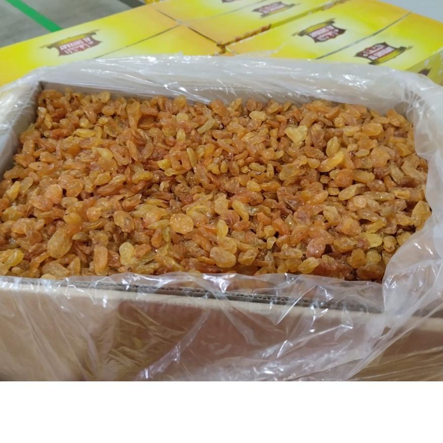 

Langsung Kirim kismis Golden Raisin 10 Kg T77!