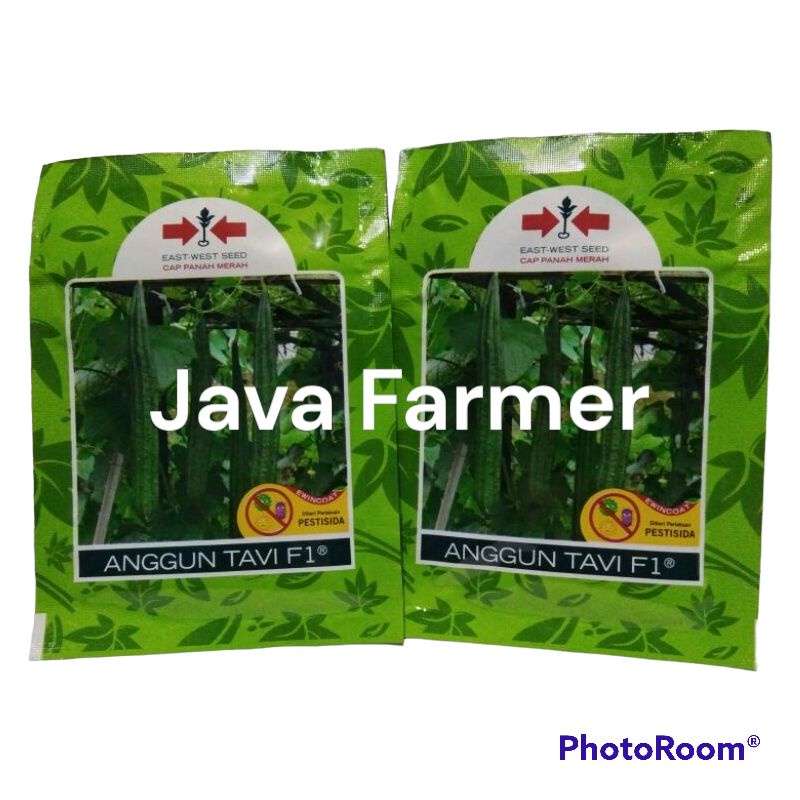 Benih Oyong Anggun Tavi 10 gram