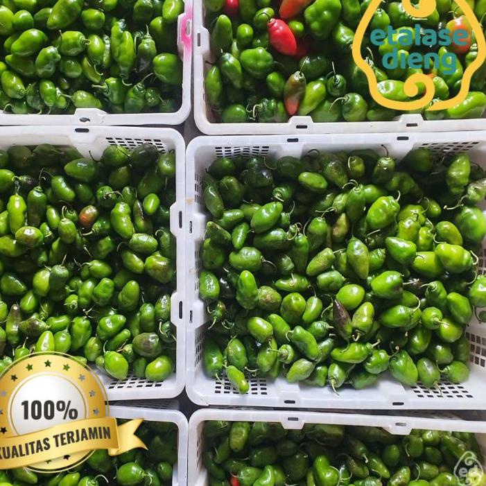 

Cabai / Cabe Gendot / Cabe Dieng / Cabe Gendut / Habanero / Cabe Fresh / Cabe / 1Kg / 0,5 Kg