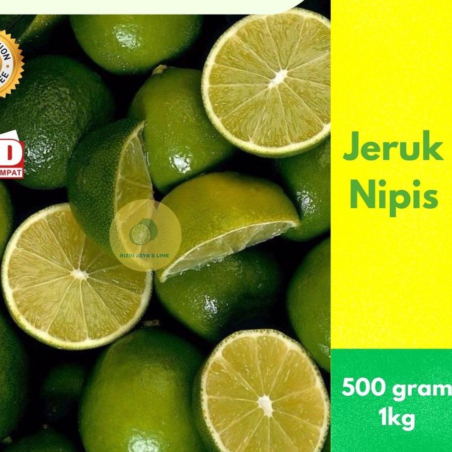 

⇟ [HARGA GROSIR] Jeruk Nipis Segar Murah 1kg/500gram ㊞