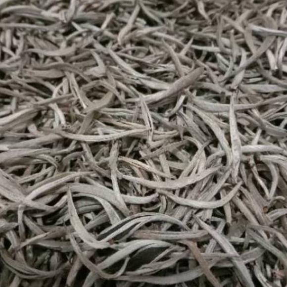 

Quality Control✅Teh putih / white tea silver needle 10gr - 100gr|RA6