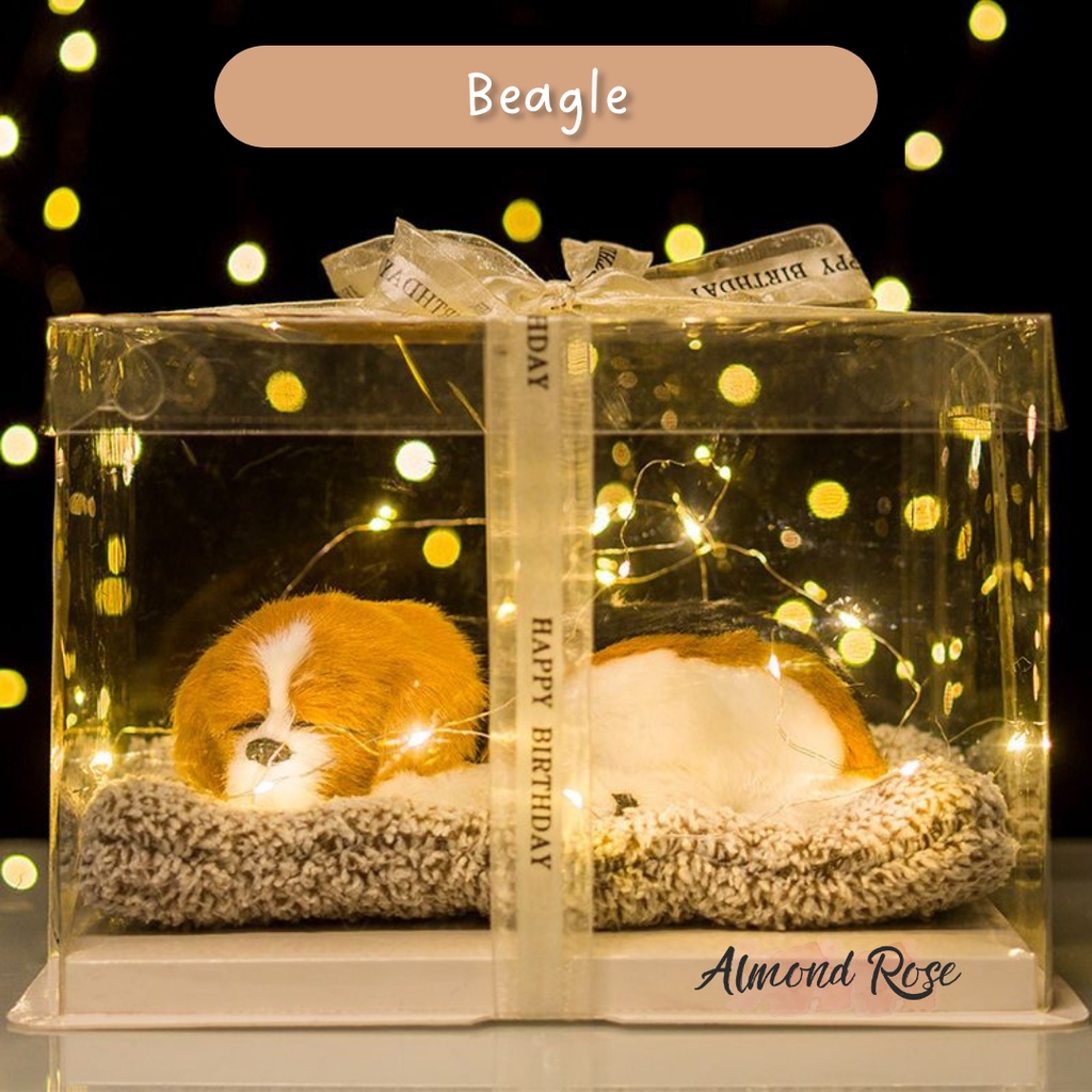 BEAGLE - Hampers Boneka Tidur kado cewe kado pacar hadiah kado boneka kucing kucing arang bambu bone