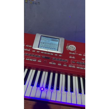 style korg pa800