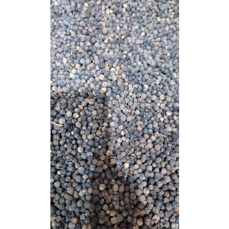 

lada hitam/merica hitam murni 500 gram