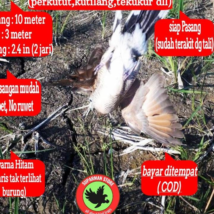 X-18♥) JARING BURUNG PERKUTUT JALA PERKUTUT LOKAL JARING PIKAT KUTUT JARING JEBAK PERKUTUT JALA JEBA