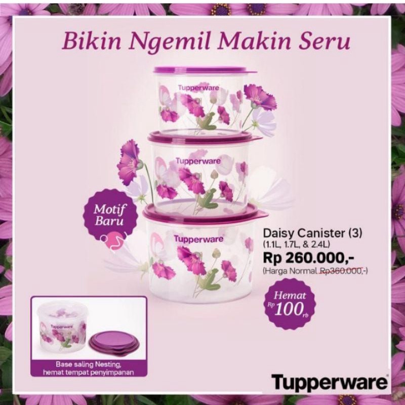 Daisy canister set purple flower tupperware / toples isi 3