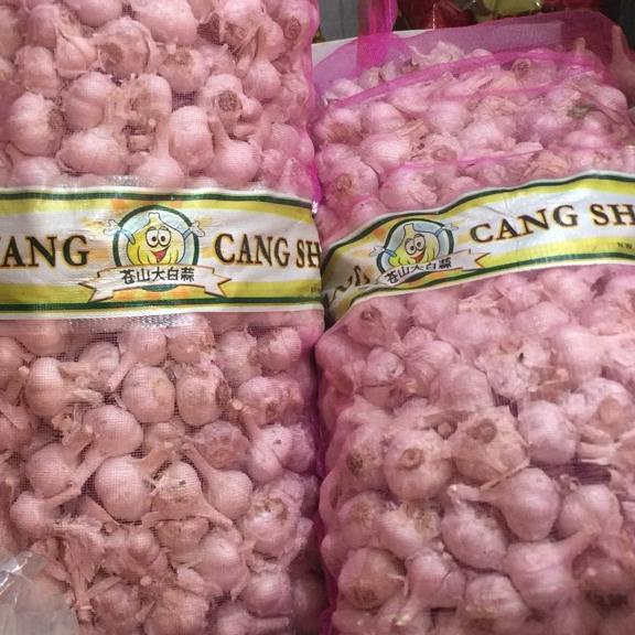 

♨ Bawang putih kating 1kg ヘ