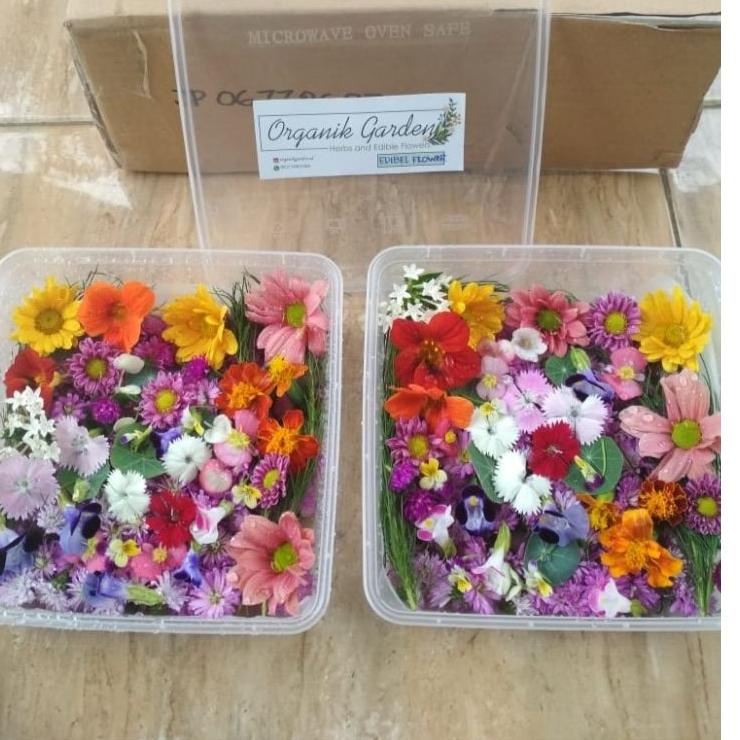 

⚡TOK SIAP 【COD Mix edible flower