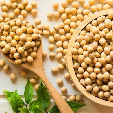 

kacang kedelai 1/4 kg Kualitas terbaik
