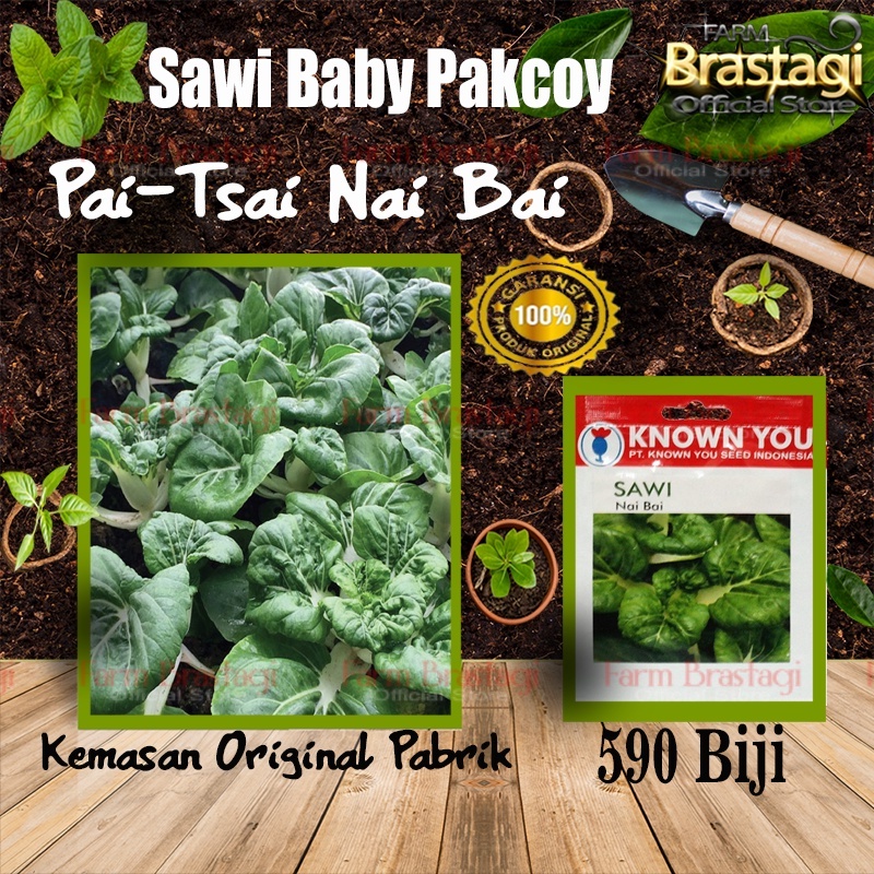 Jual Benih Sawi Baby Pakcoy Nai Bai Sayuran Mini Toy Choy Seeds