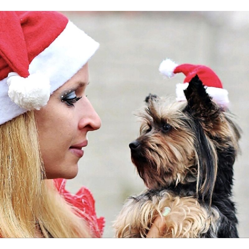 LIMITED STOCK ! TOPI NATAL SANTA CLAUS Untuk Anjing/Kucing/Kelinci Pet Puppy kitten