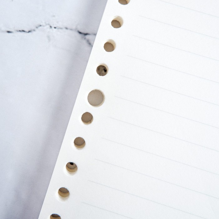 

PANMOMO LOOSE LEAF BINDER PAPER A5: 14.3 X 21 CM (20 RING)