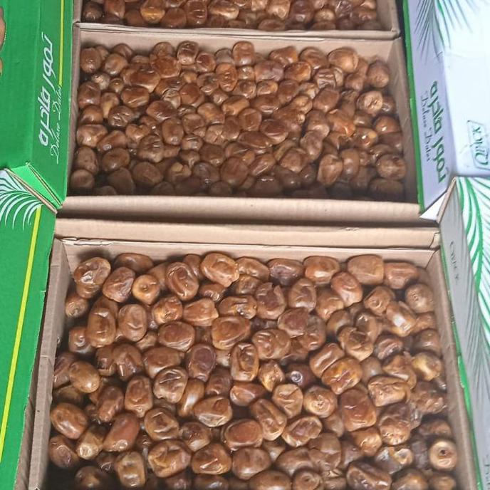 

BAYAR DITEMPAT✔️KURMA SUKARI/Kurma Raja AlQosem (3KG)|SQ2