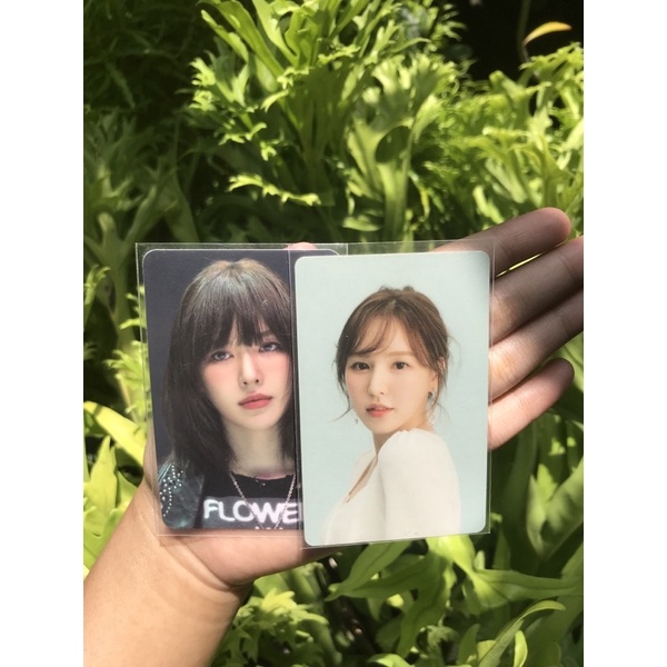 (read desc) pc photocard wendy queendom sg21 red velvet