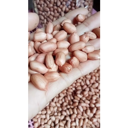 

KACANG TANAH MENTAH Kualitas terbaikkk repacking 500gr