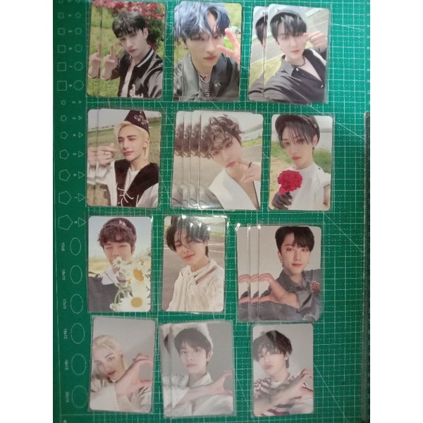 Maxident Pc Stray Kids