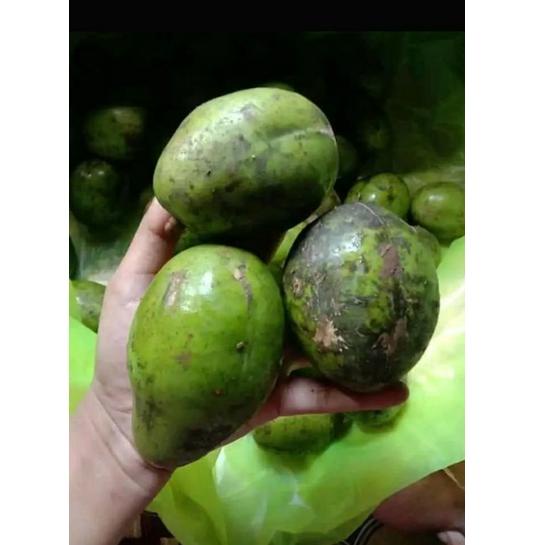 

↦ buah kedondong Bangkok 1 kg ㅠ
