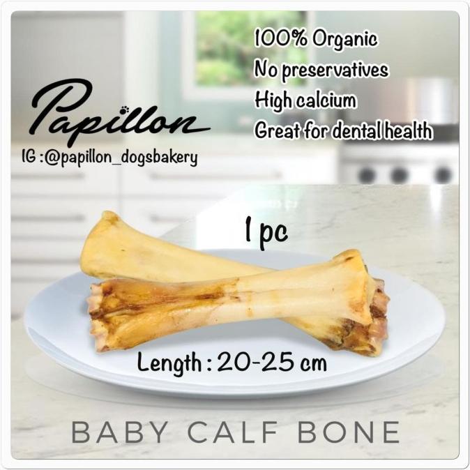 

[BISA COD] Baby Calf Bone (1pc)