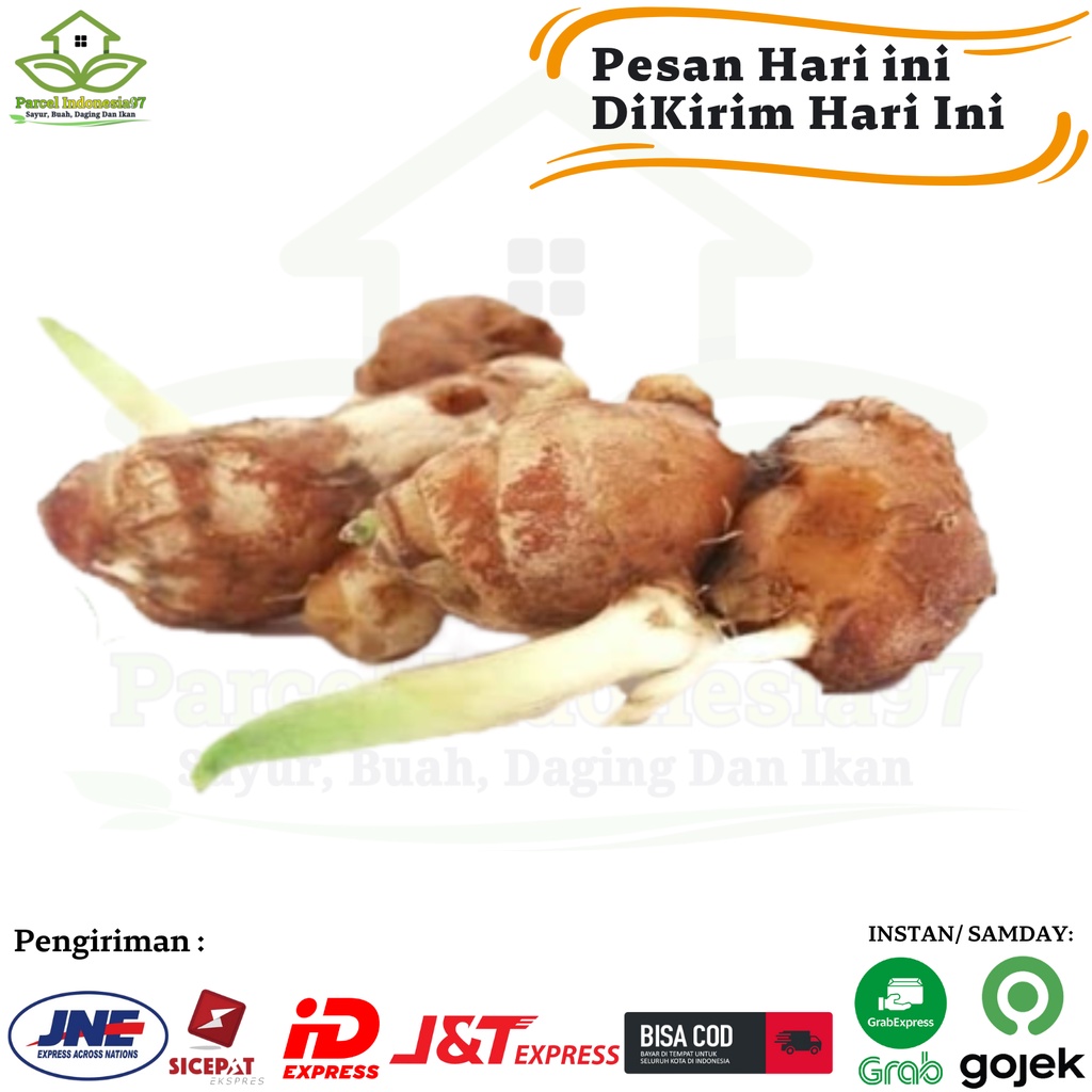 

Kencur Cikur Murah parcel indonesia