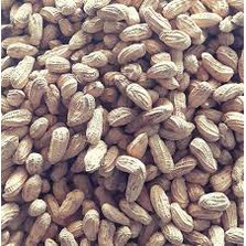 

Kacang Kulit Kacang Sangan KEKA 500gr