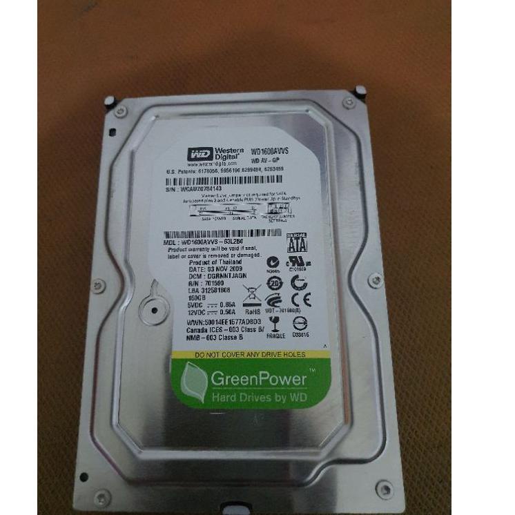 Paling Dicari Harddisk WD Blue 160GB Internal PC