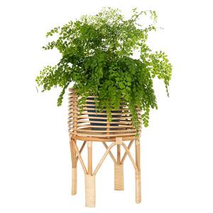 Standing Pot Cover Pot Rotan