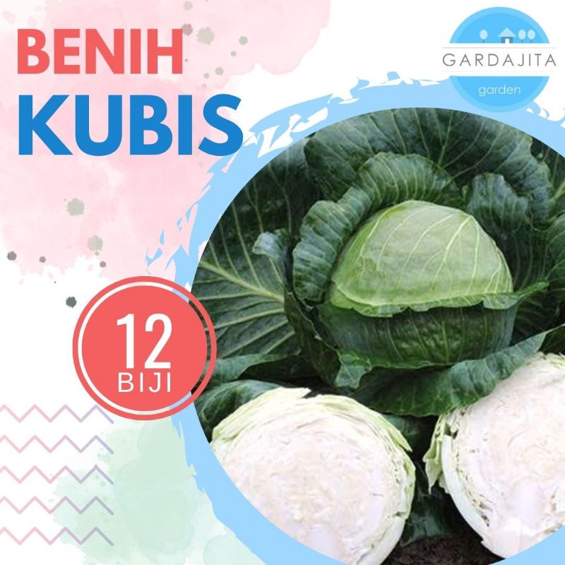 Benih KUBIS [isi-12] - Kol Biji Bibit Sayur Summer Auntumn