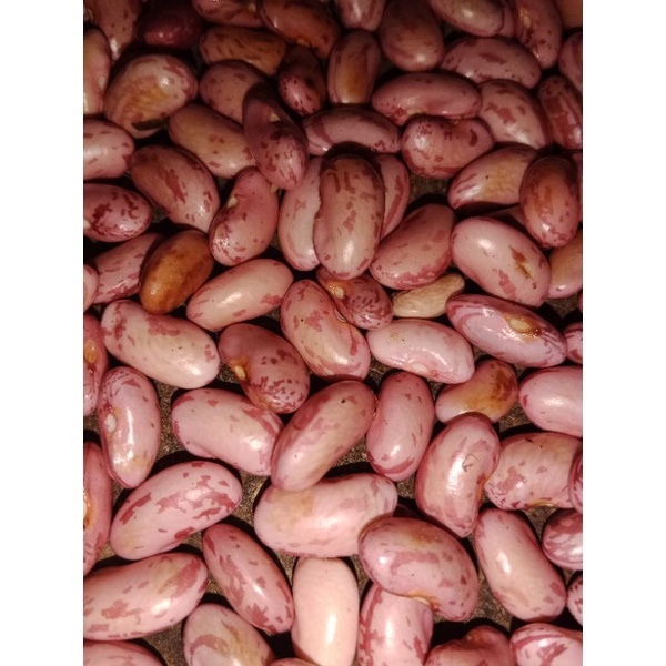 

KACANG MERAH FRESH 1KG PILIHAN