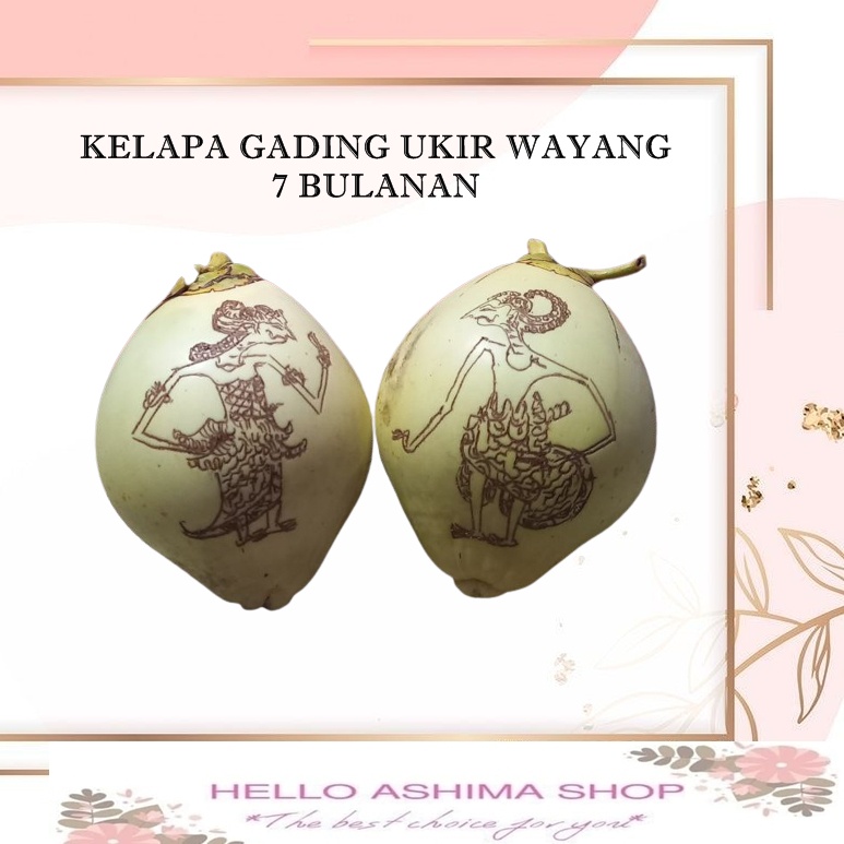 Jual KELAPA GADING GAMBAR WAYANG 7 BULANAN TINGKEPAN Shopee Indonesia