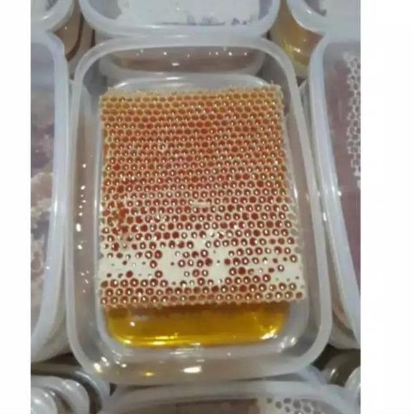 

Termurah [500GR] SARANG MADU MELIFERA ASLI / MADU SARANG HONEYCOMB ㆀ