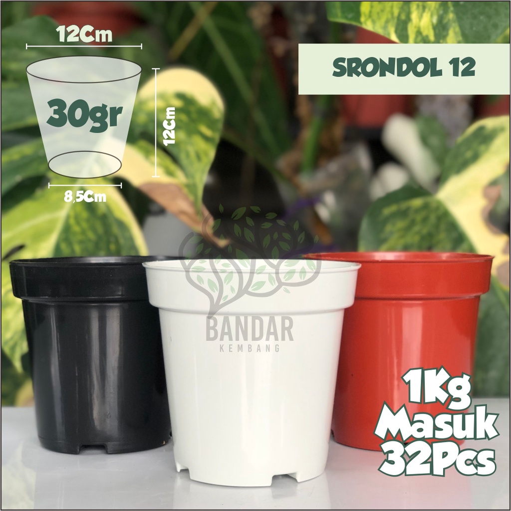 Pot Bunga Plastik Ruplas Srondol 12 Pot Bibit Tanaman Semai Benih Pot Bunga Kecil Tinggi Pot Kecil