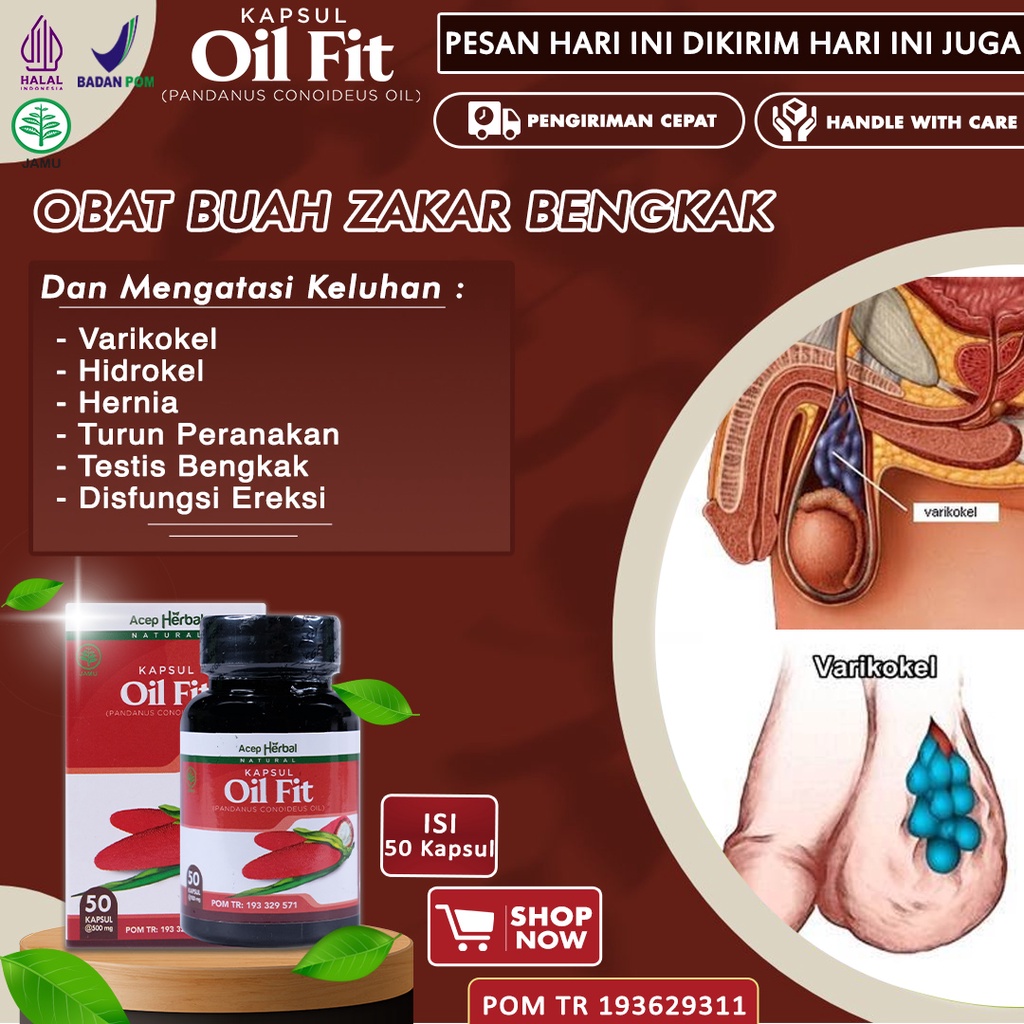 Obat Buah Zakar Bengkak Sebelah Kanan Varikokel Hidrokel Testis Besar Sebelah Benjolan Di Buah Zakar