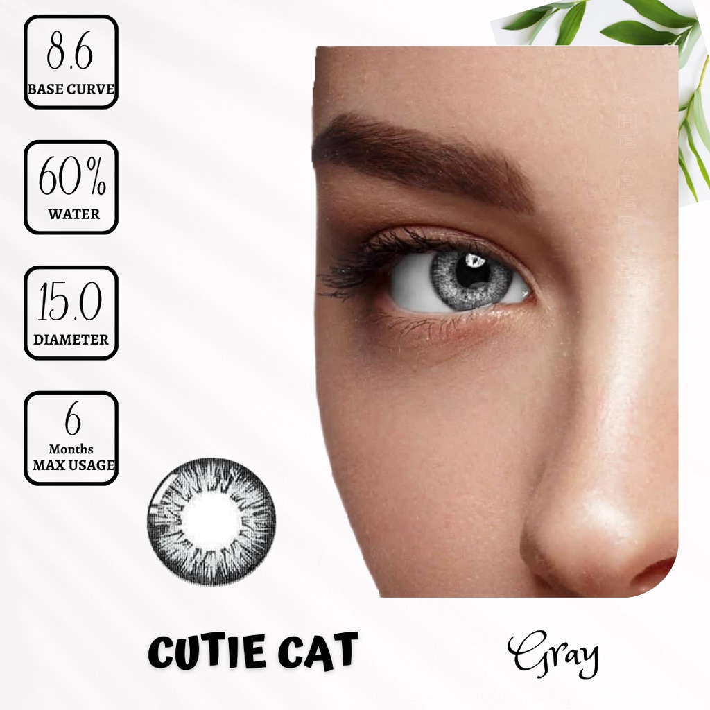 SOFTLENS CUTIE CAT MINUS -0.50 SD -6.00