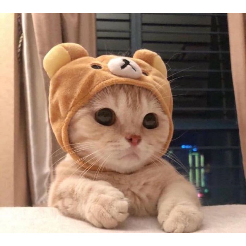 photocard pc album minhee