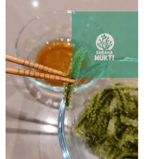 

SERG-64 Anggur laut/ Green Caviar/ Latoh/ Lawi lawi/ Sea Grapes (Caulerpa Sp.) [222]