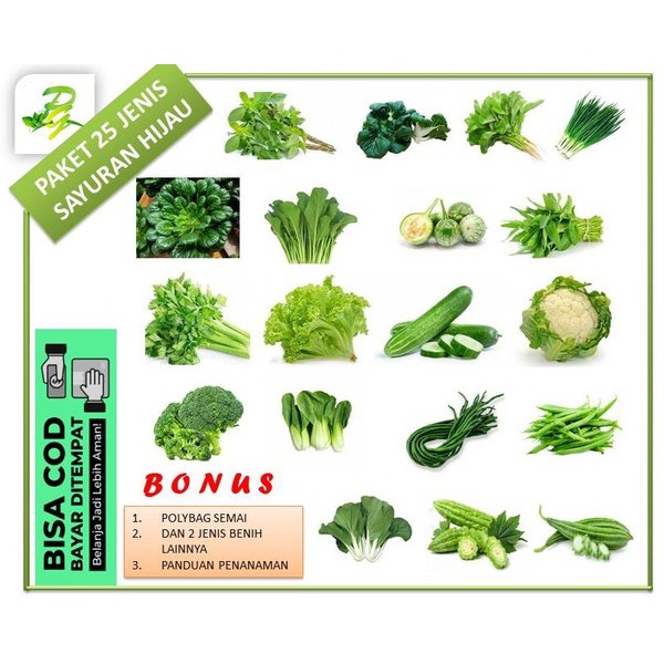 PAKET HEMAT 1 - 25 Jenis Biji Benih Sayuran Hijau - Benih Sayur Hydroponik - Benih Aquaponik + Bonus