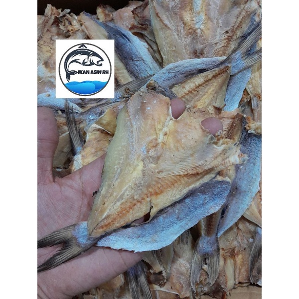 

IKAN ASIN KETING JAMBAL/IKAN ASIN TULANG JAMBAL