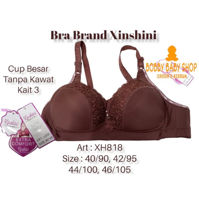 Tiana (B5) &amp; Xinshini (XH818) Bra Cup Besar Kait 3