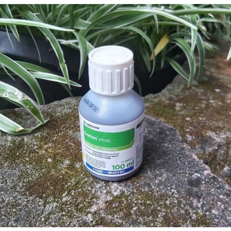 Garlon 670 EC