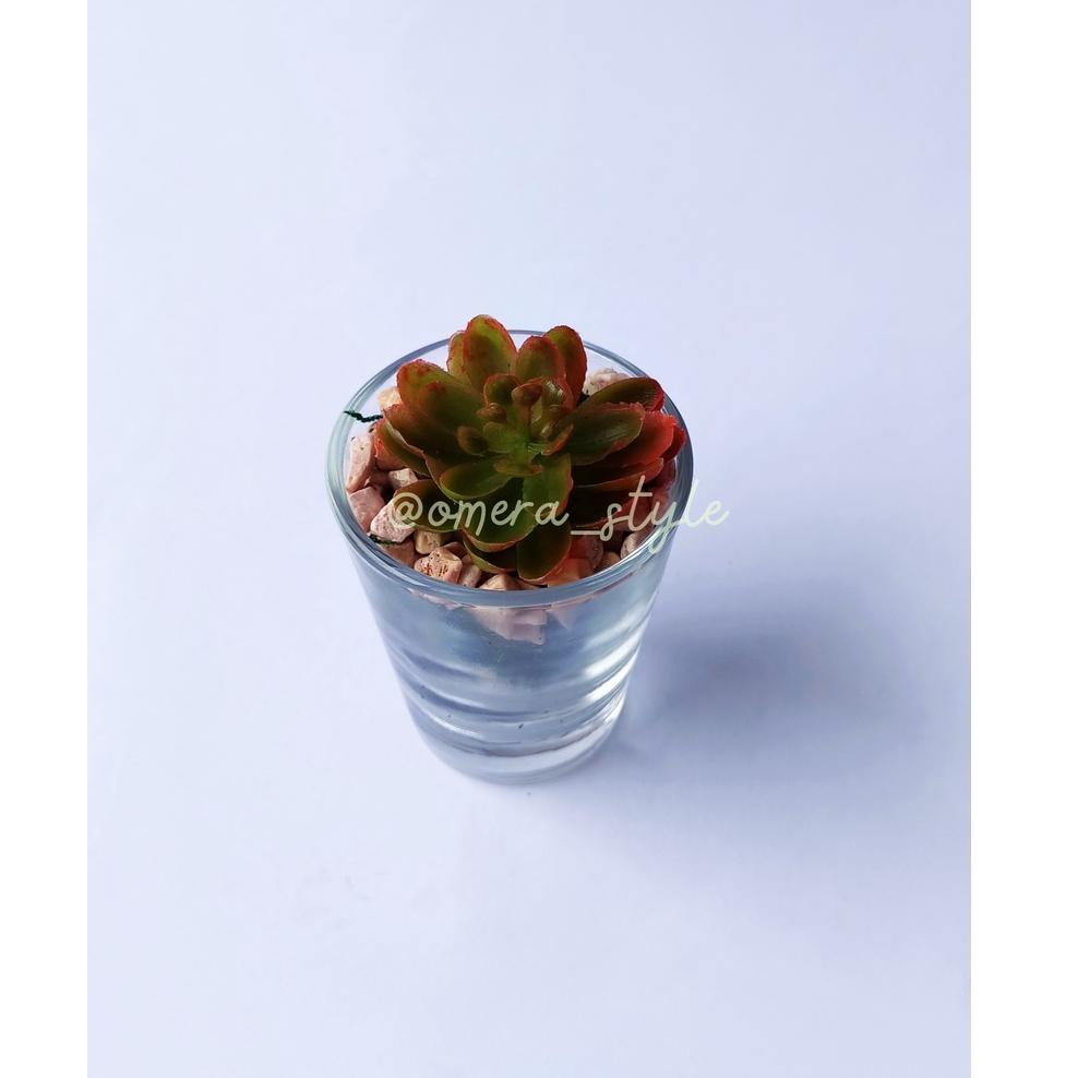 ↧↨ Mini Terarium Tanaman Kaktus Sukulen Pot Artificial Succulent Cactus Glass Potted Terrarium ㊞