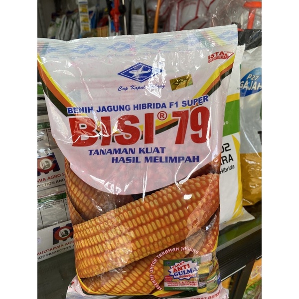 Jagung Bisi 79