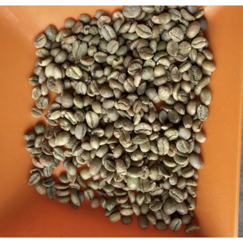 

greebeen liberica gayo