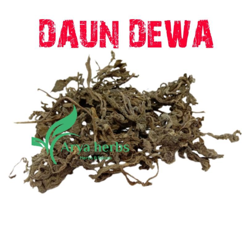 

DAUN DEWA KERING 500 grm / DAUN DEWA ORGANIK / HERBAL / DARAH TINGGI / DIABETES / KOLESTEOL