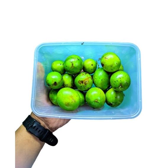 

(G-F9F-㊛) Buah Jatake Gandaria 500gr No po siap kirim amanah