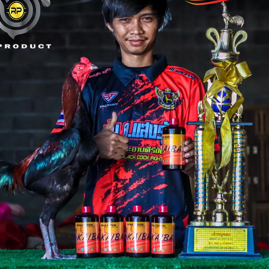 AFY135 ARAK GOSOK KAIBA KHUSUS AYAM LAGA |